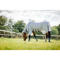 Horseware Flyboots - Silver/Navy -Kensington Shop 607402 800 800