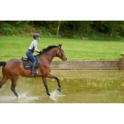 Kerrits Women's Ice Fil Full Seat Tech Tights - Ink -Kensington Shop 611889 800 800