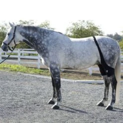 Ice Horse Stifle Wrap - Black -Kensington Shop 632119 800 800