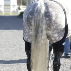 Ice Horse Stifle Wrap - Black -Kensington Shop 632120 800 800