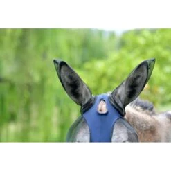 Weatherbeeta Mule Deluxe Stretch Bug Eye Saver With Ears - Navy/Black -Kensington Shop 646897 800 800