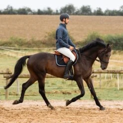 Horze Men's Grand Prix Full Seat Breeches - White -Kensington Shop 649471 800 800