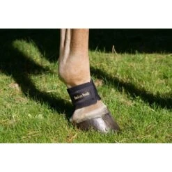 Back On Track Pastern/Fetlock Band - Black 6 Back On Track Pastern/Fetlock Band - Black -Kensington Shop 669286 800 800