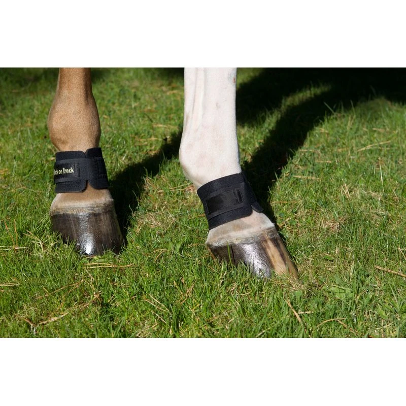 Back On Track Pastern/Fetlock Band - Black 4 Back On Track Pastern/Fetlock Band - Black - Image 4