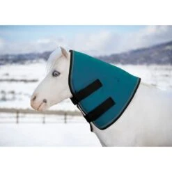 Kensington Mini/Pony Signature Neck Warmer 180G - Harbor
