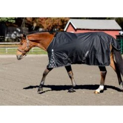 Equinavia Norse Mid Weight Turnout Blanket 200g - Black -Kensington Shop 678219 800 800