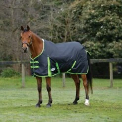 Weatherbeeta Comfitec Classic Standard Neck Lite - Black/Lime Green