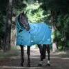 Weatherbeeta Green-Tec 900D Detach-A-Neck Medium Turnout Blanket - Dragonfly Blue/Bottle Green