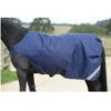 Bucas Walker Rug - Navy