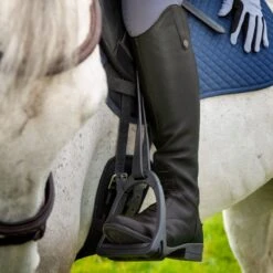 Shires Moretta Women's Gianna Leather Field Boots - Black -Kensington Shop 685195 800 800