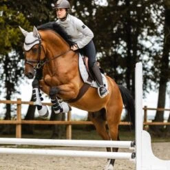 Horze Smoky Twilight Air Mesh Ear Net - Quiet Grey -Kensington Shop 698836 800 800