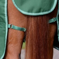 Saxon Defiant 1200D Combo Neck Medium - Hunter Green/White -Kensington Shop 707718 800 800