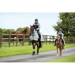 Horseware Kids' Corrib Reflective Jacket - Reflective Grey -Kensington Shop 708689 800 800