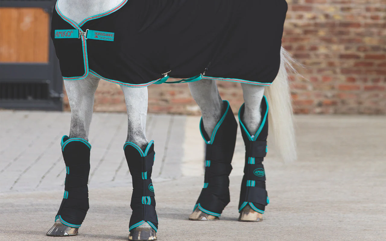 Kensington Shop -Kensington Shop Shippingbootshero